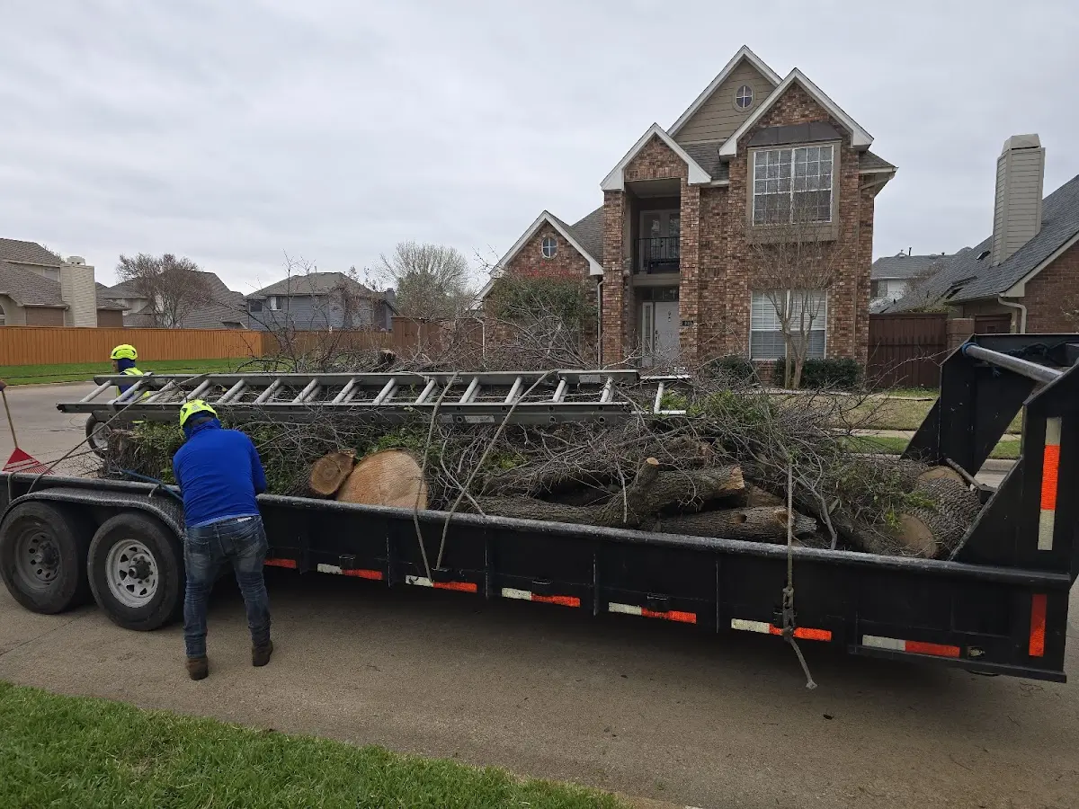 Expert Lot Clearing with proper safety equipment in Silver Star